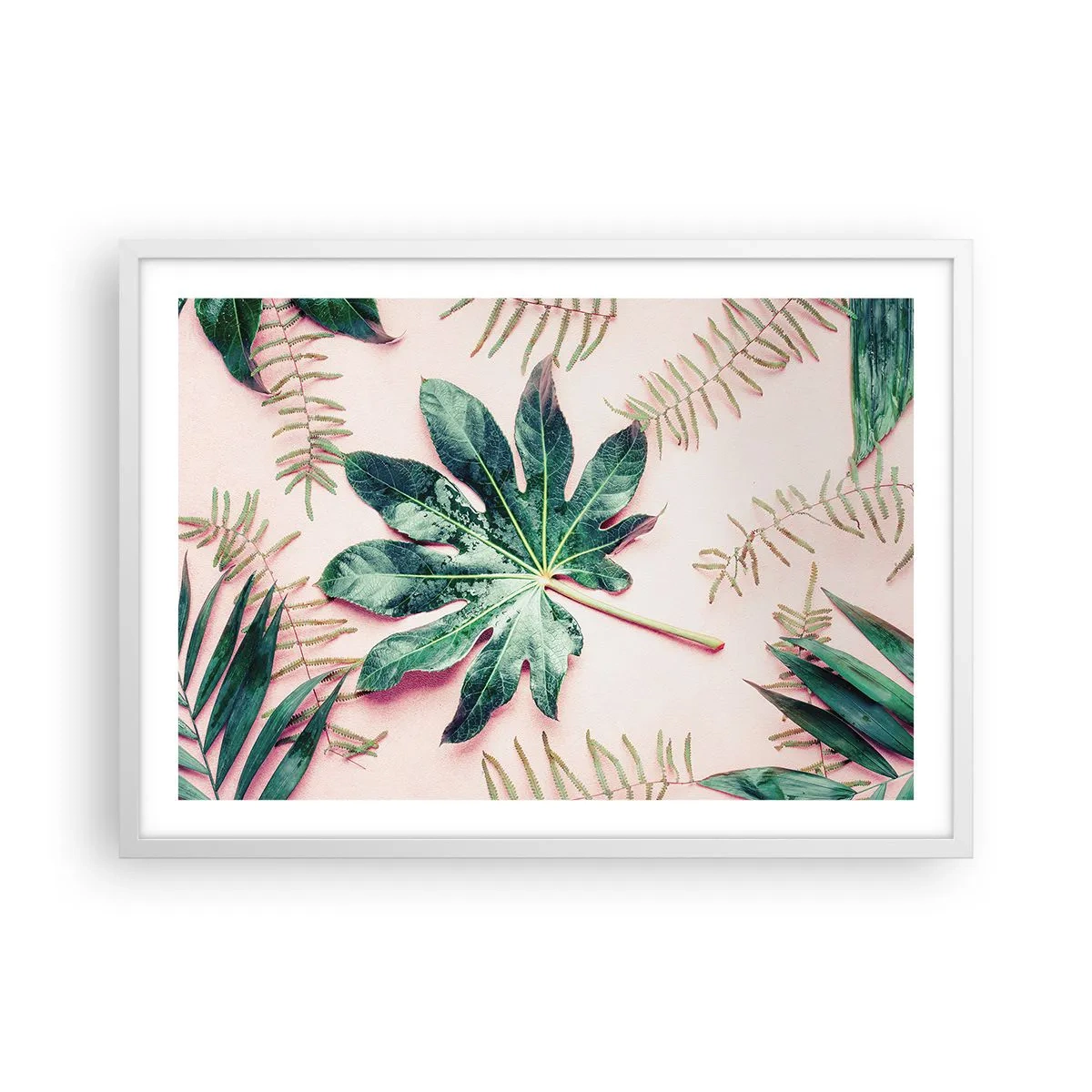 Poszter fekete keretben - A zöld tanulmánya a rózsaszín háttérben - 70x50 cm