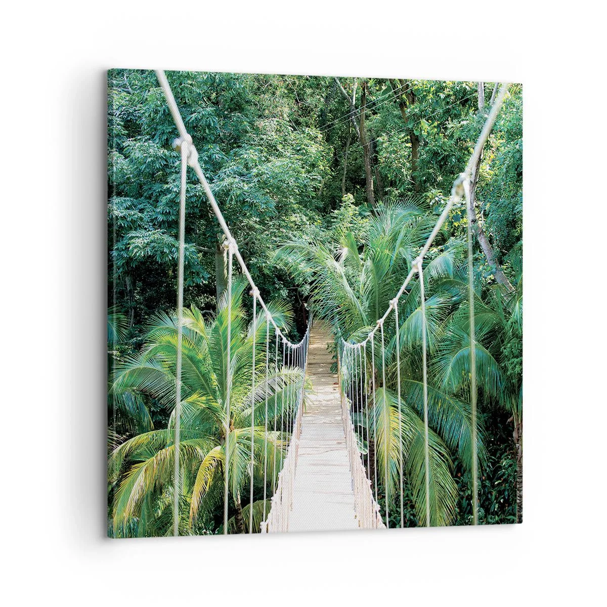 Vászonkép - Üdvözöljük a dzsungelben! - 60x60 cm