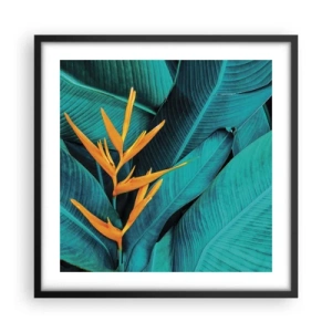 Poszter fehér keretben - Éden virága - 50x50 cm