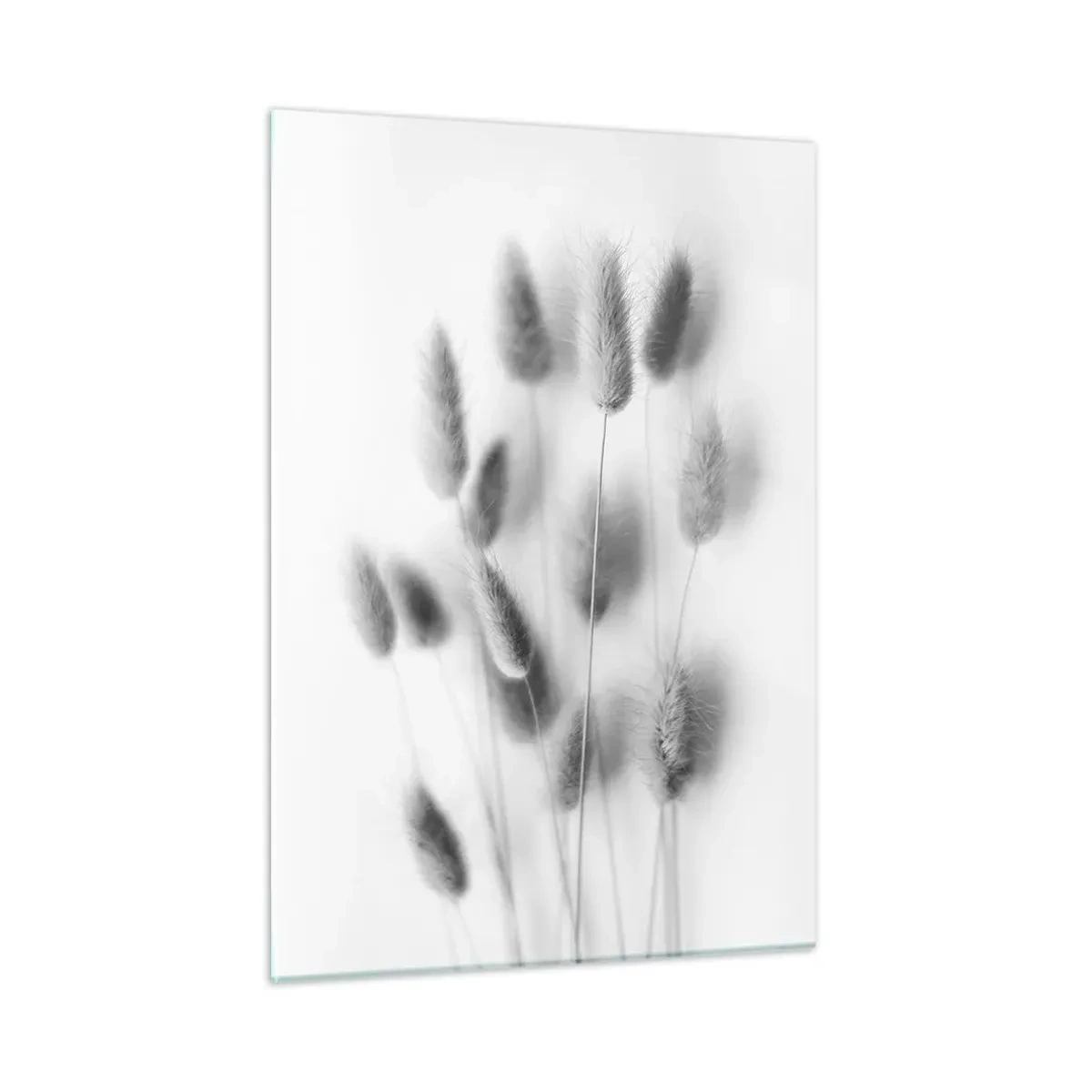 Üveg kép - A bolyhos fű - 50x70 cm