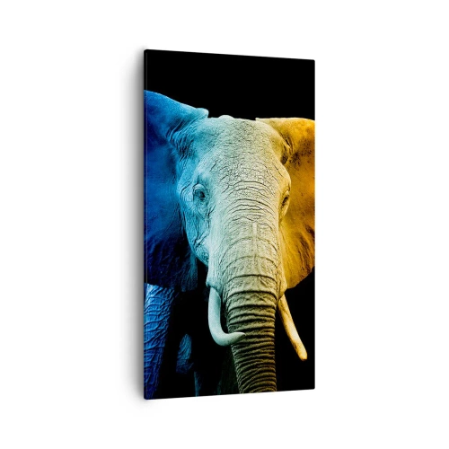 Vászonkép - Excentrikus, nem különc - 55x100 cm