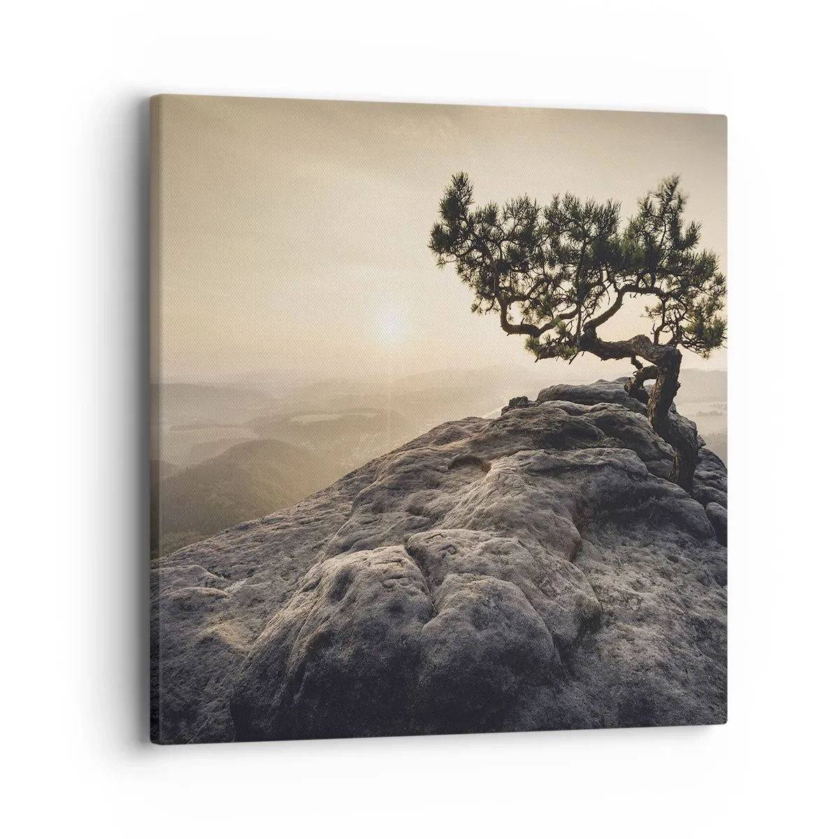 Vászonkép - Az élet mindig győz - 40x40 cm