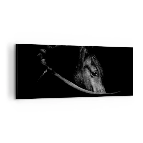 Vászonkép - Fekete herceg - 100x40 cm