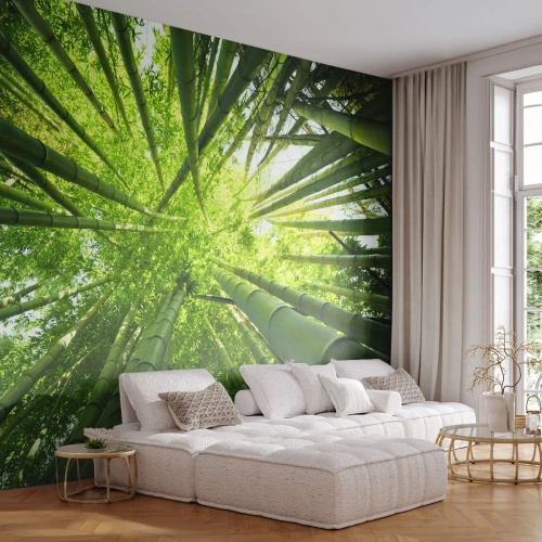 Fotótapéta Premium Sand - Egy bambuszligetben - Bambusz erdő, Dzsungel, Bambusz - 450x315 cm