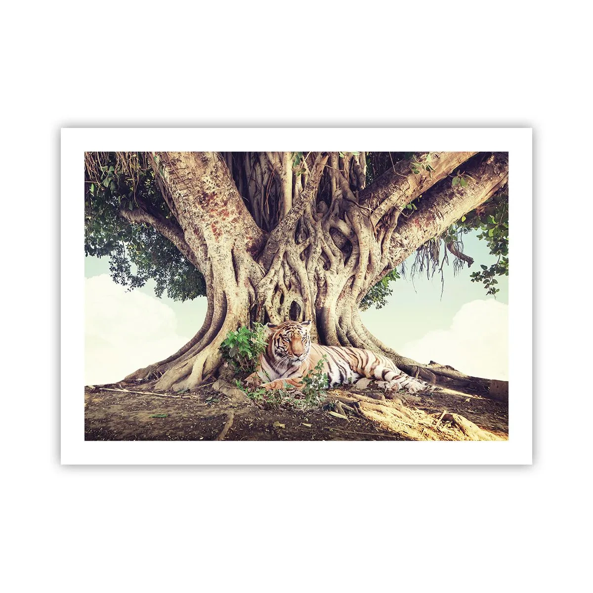 Poszter - Kilátás a Genezis könyvéből - 70x50 cm