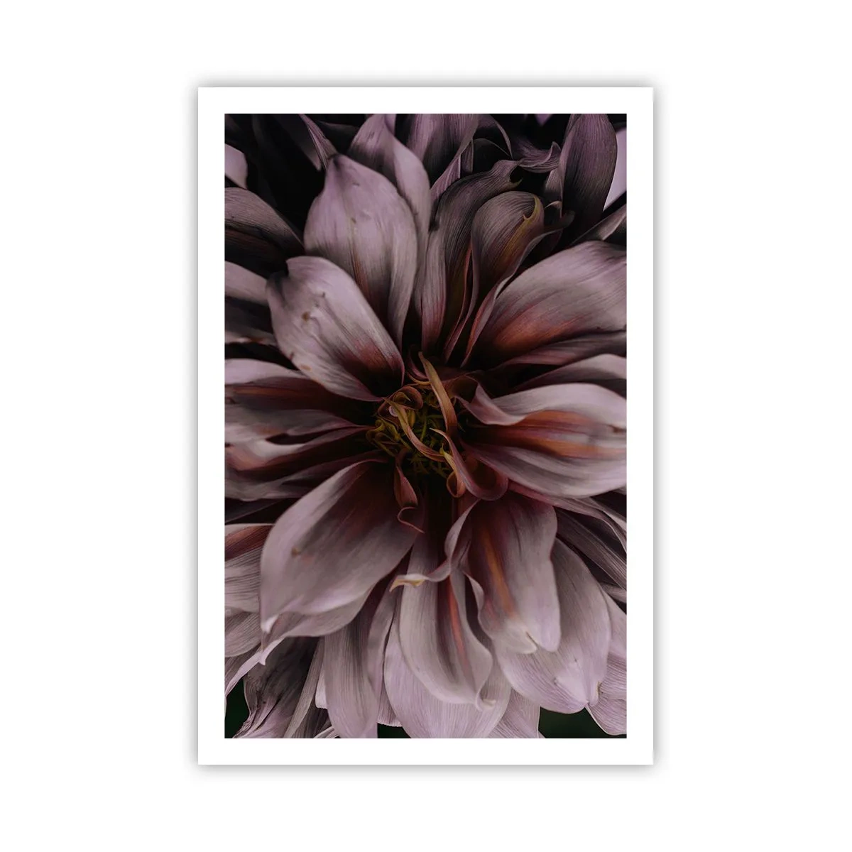 Poszter - Virágos szív - 61x91 cm