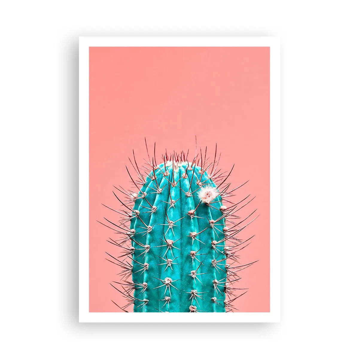 Poszter - Csak nézz - 70x100 cm