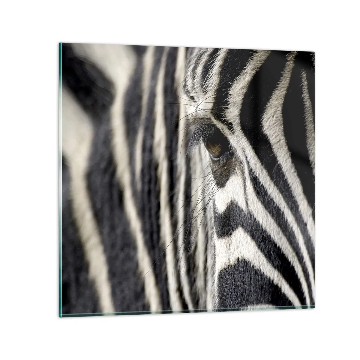 Üveg kép - Csíkos portré - 30x30 cm