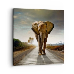 Vászonkép - És egyáltalán nem porcelánraktárban - 40x40 cm