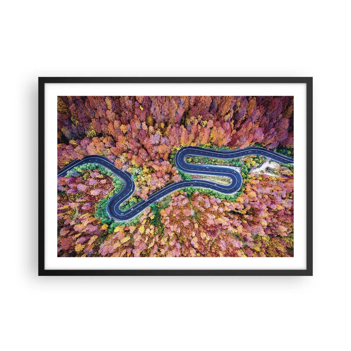 Poszter fehér keretben - Kanyargós út az erdőn keresztül - 70x50 cm