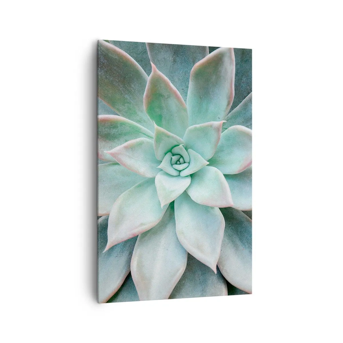 Vászonkép - A sivatag szíve - 80x120 cm