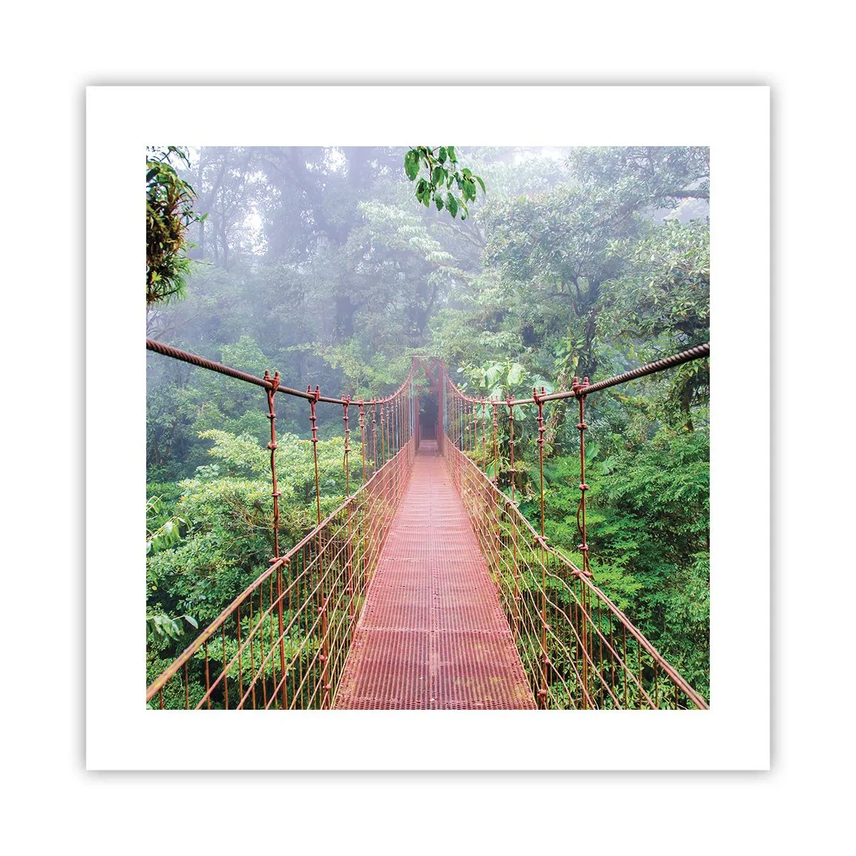 Poszter - A lomkoronák fölé függesztve - 40x40 cm