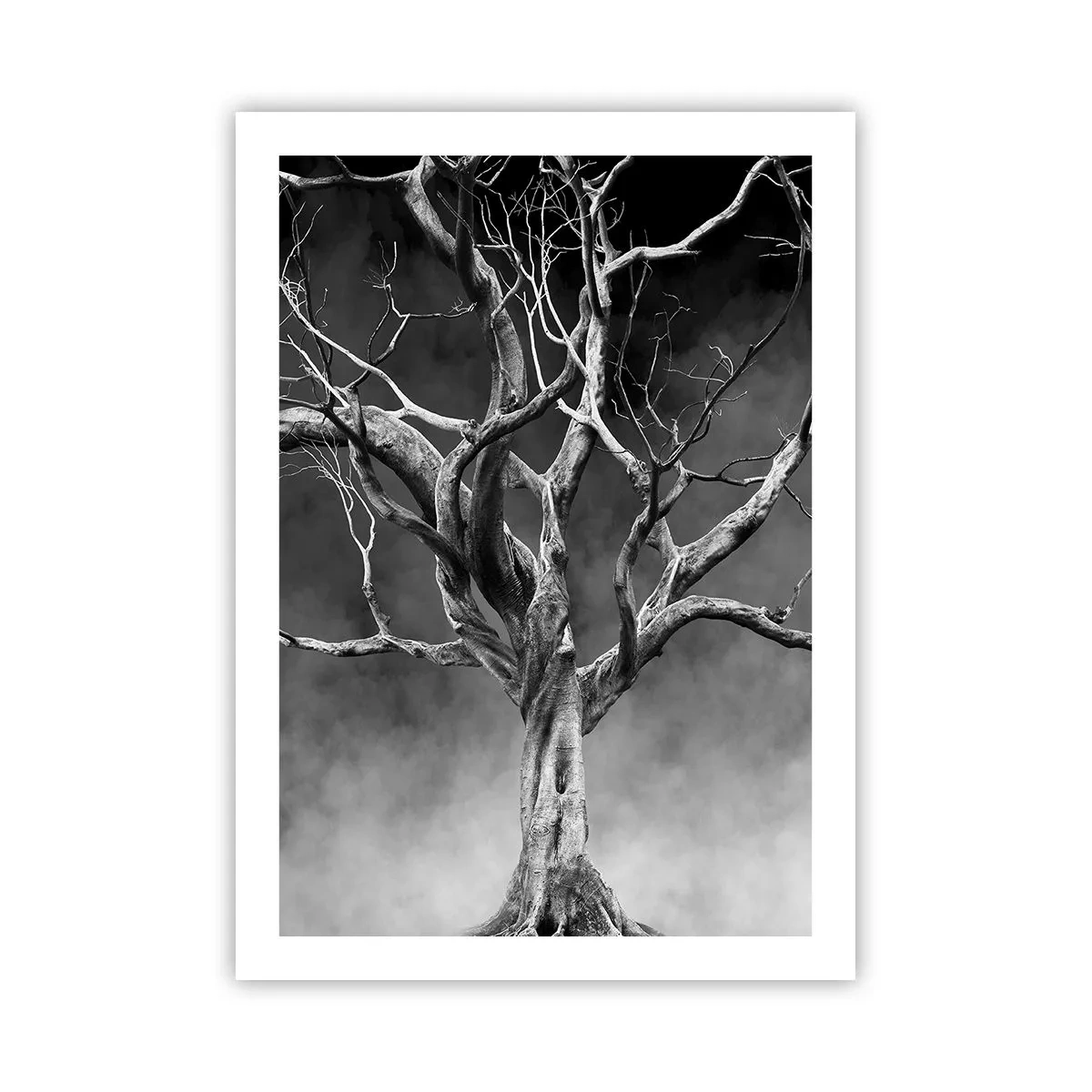 Poszter - Ősi és szent - 50x70 cm