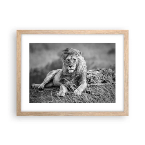 Poszter világos tölgy keretben - Királyi szieszta - 40x30 cm