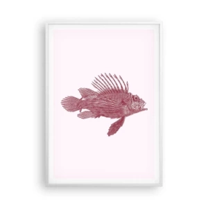 Poszter fekete keretben - Egzotikus vizek lakója - 70x100 cm