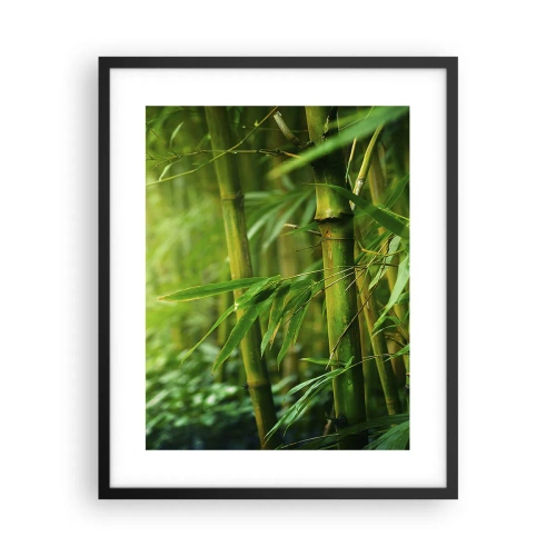 Poszter fehér keretben - Megismerni magát a zöldet - 40x50 cm