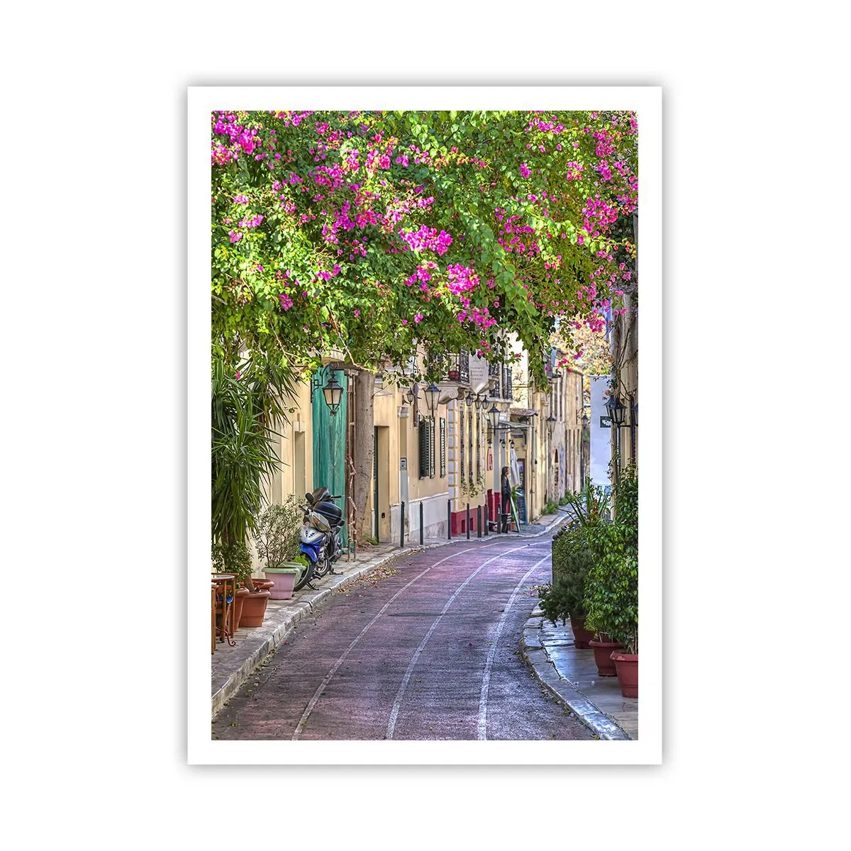 Poszter - Virágzó sikátor - 70x100 cm