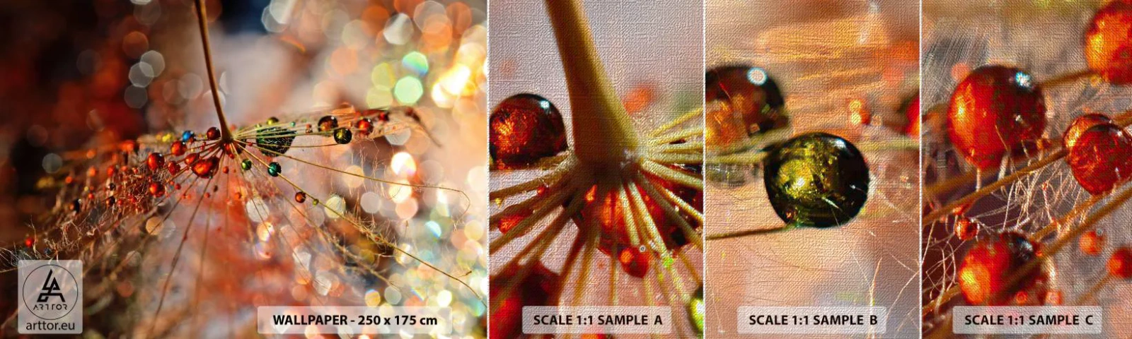 Fotótapéta Minta Premium Canvas - Pókszálra fűzve - Absztrakció, pókháló, Darab - 100x30 cm