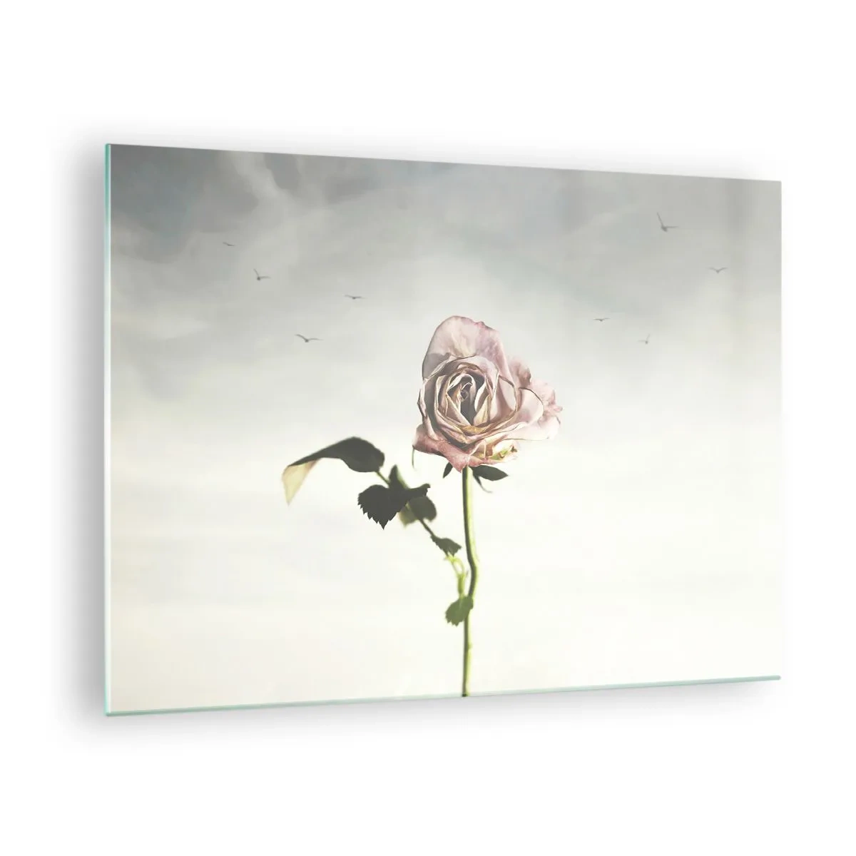 Üveg kép - Egy finom rózsa az égen repülő madarakkal - 70x50cm - Tavasz üdvözlése - Modern fali dekoráció nappalihoz és hálószobához ARTTOR