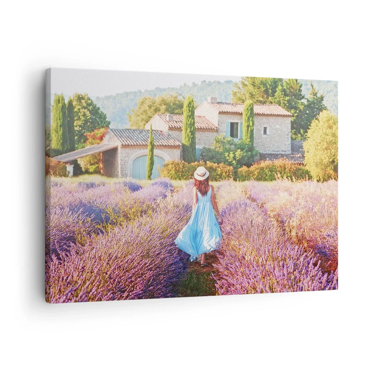 Vászonkép - Levendula lány - 70x50 cm