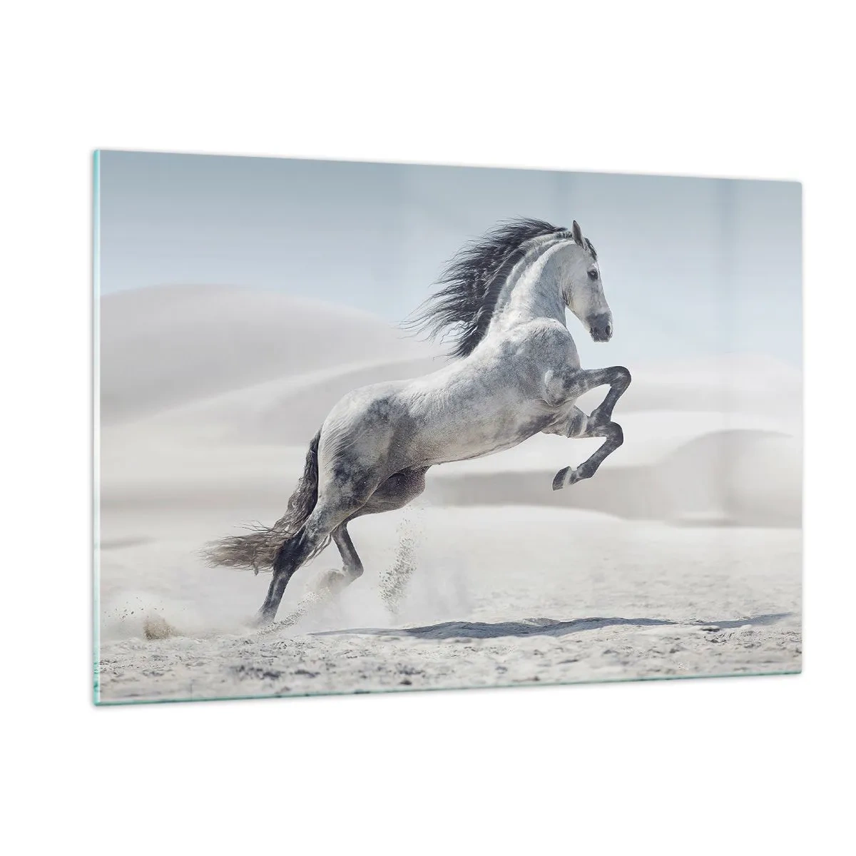 Üveg kép - arab herceg - 120x80 cm