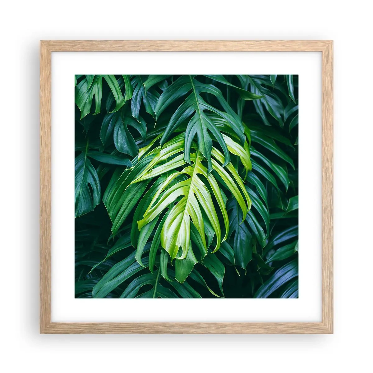 Poszter világos tölgy keretben - Merüljön el a frissességben - 40x40 cm