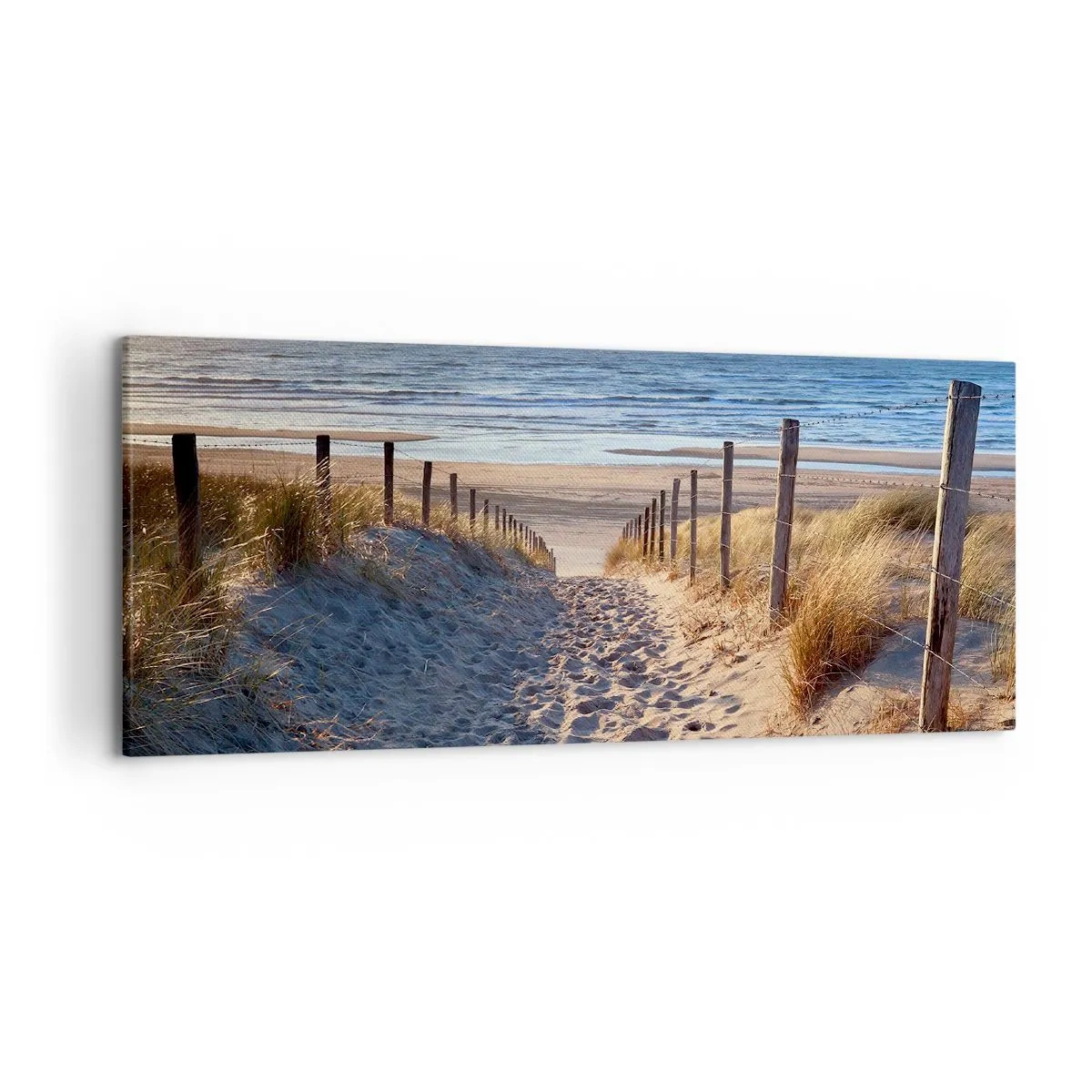 Vászonkép - A tenger hangja, a madarak éneke, egy vad tengerpart a fű között... - 120x50 cm