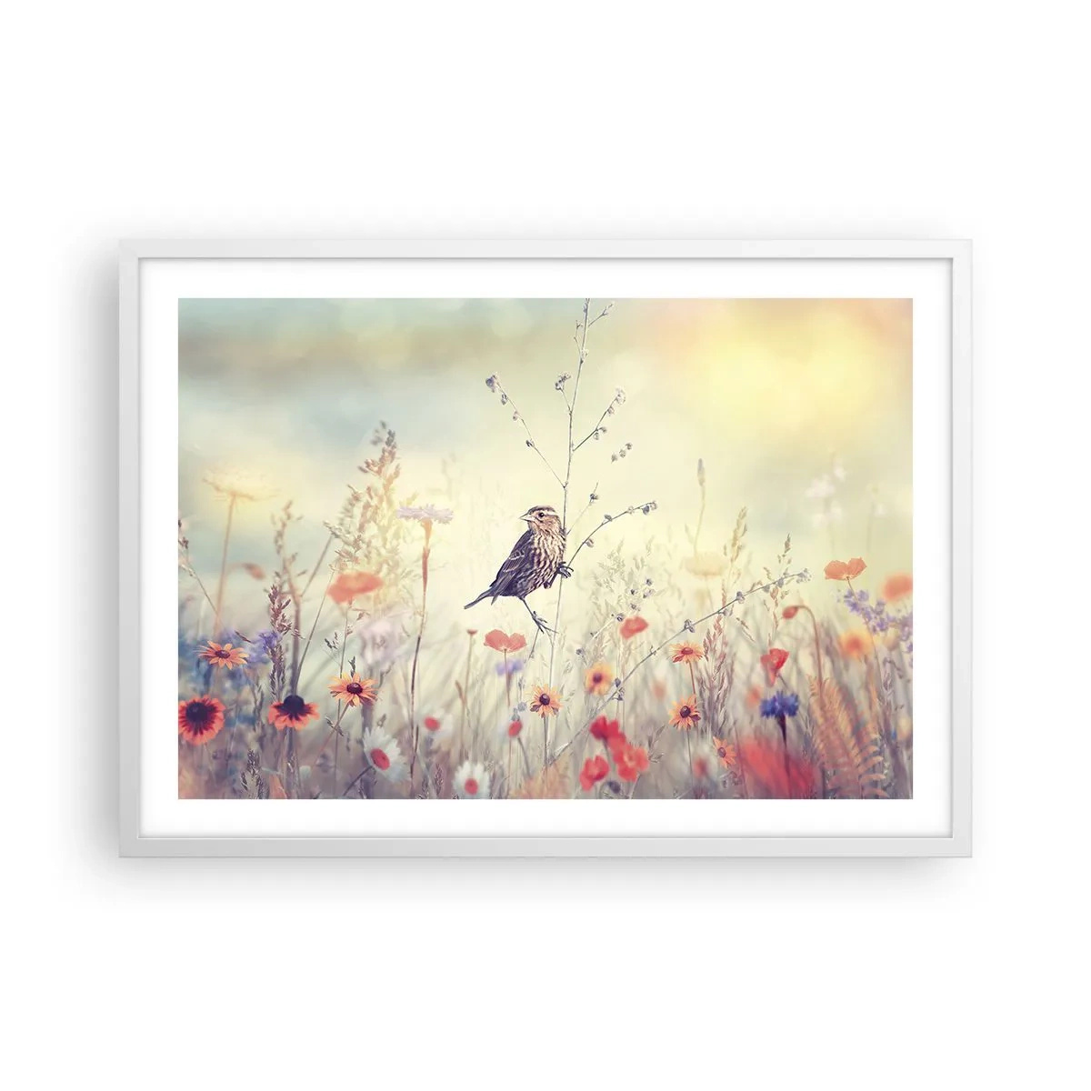 Poszter fekete keretben - Madárportré egy réttel a háttérben - 70x50 cm