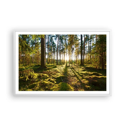 Poszter fekete keretben - … A hét erdőn túl - 91x61 cm