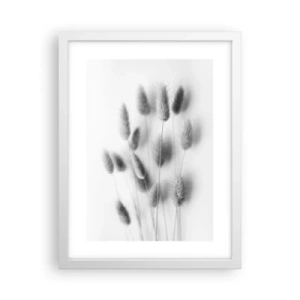 Poszter fekete keretben - A bolyhos fű - 30x40 cm