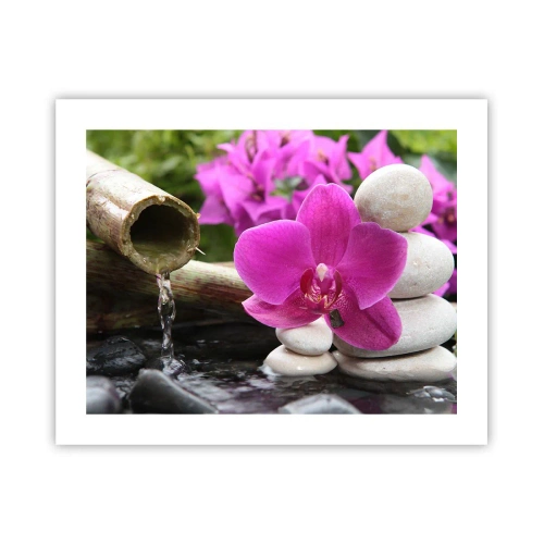 Poszter - Már pihensz - 50x40 cm