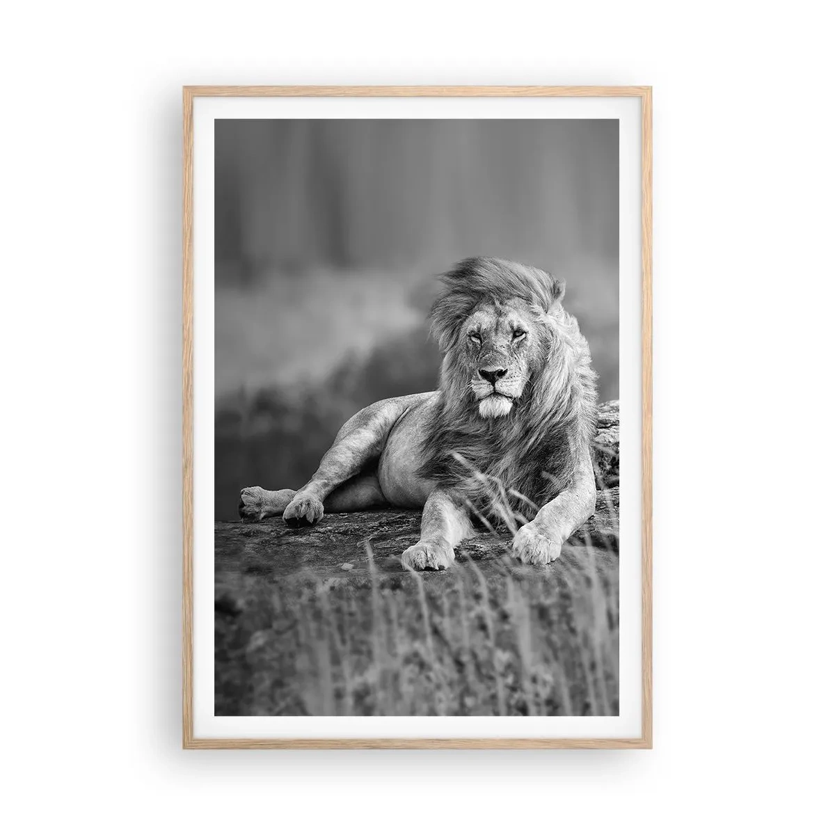 Poszter világos tölgy keretben - Királyi szieszta - 70x100 cm