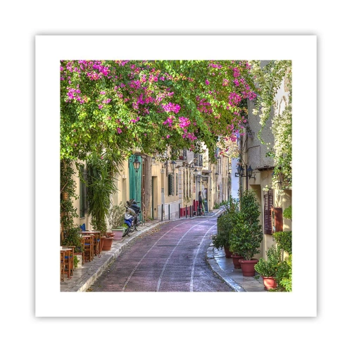 Poszter - Virágzó sikátor - 40x40 cm