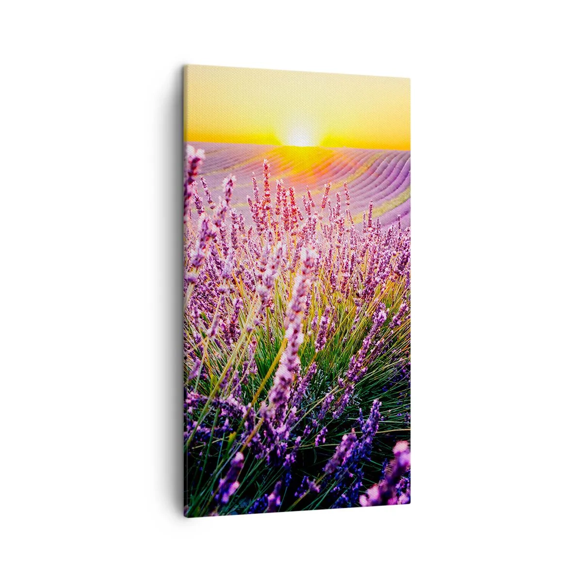 Vászonkép - Illatos szálak - 45x80 cm