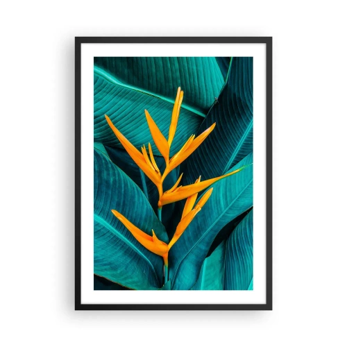 Poszter fehér keretben - Egy egzotikus virág zöld trópusi levelek hátterében. - 50x70cm - Éden virága - Modern fali dekoráció nappalihoz és hálószobához ARTTOR