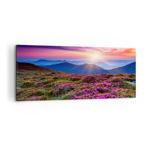 Vászonkép - A gyógynövények friss fürtjei illatoztak a mezőkről - 100x40 cm