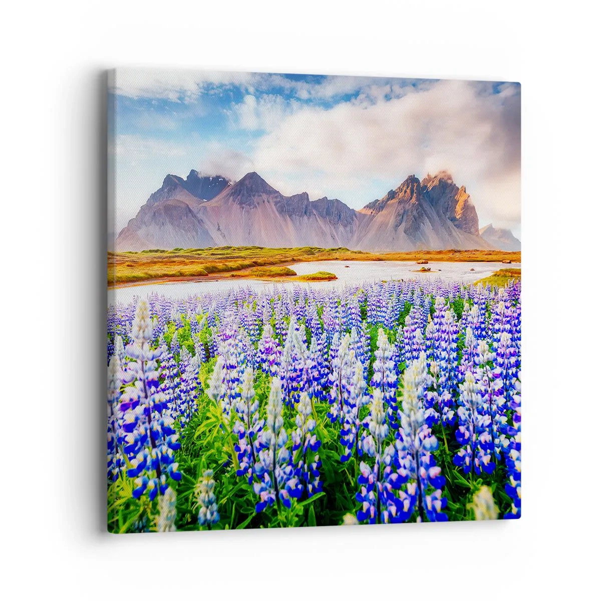 Vászonkép - Erő és szigorúság a szelídség mellett - 40x40 cm