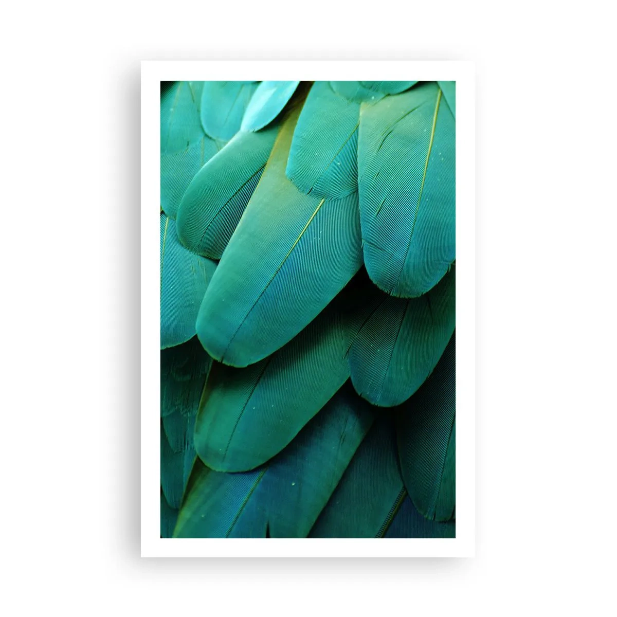 Poszter - A papagájtermészet precizitása - 61x91 cm