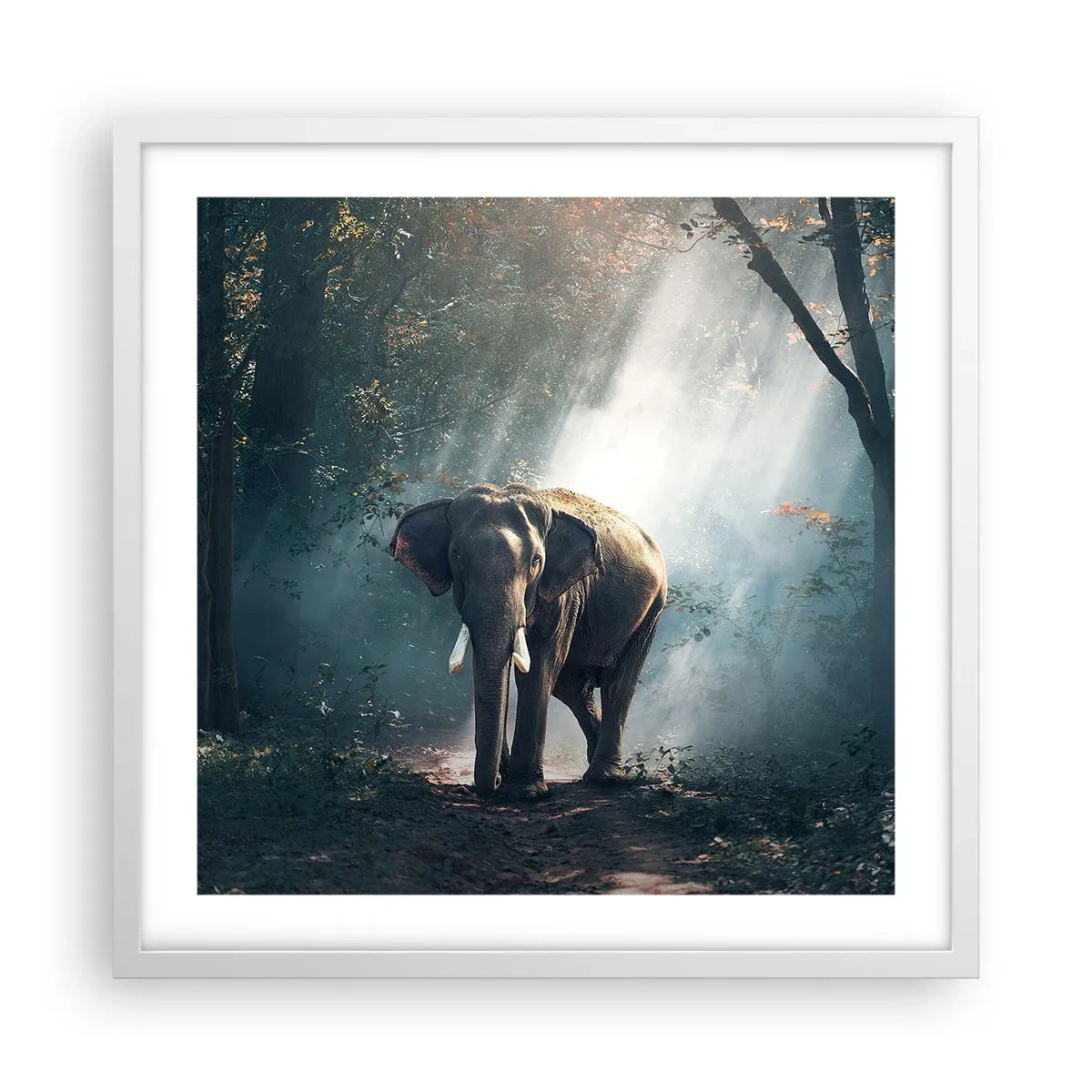 Poszter fekete keretben - Nyugodt séta - 50x50 cm