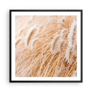 Poszter fehér keretben - A fű arany susogása - 60x60 cm