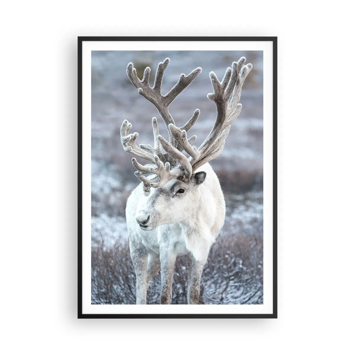 Poszter fehér keretben - Portré a napon - 70x100 cm