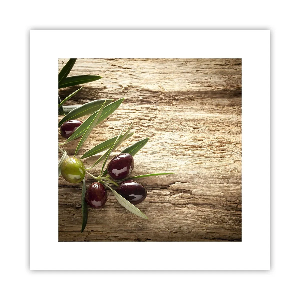 Poszter - Egyenesen a természetből - 30x30 cm