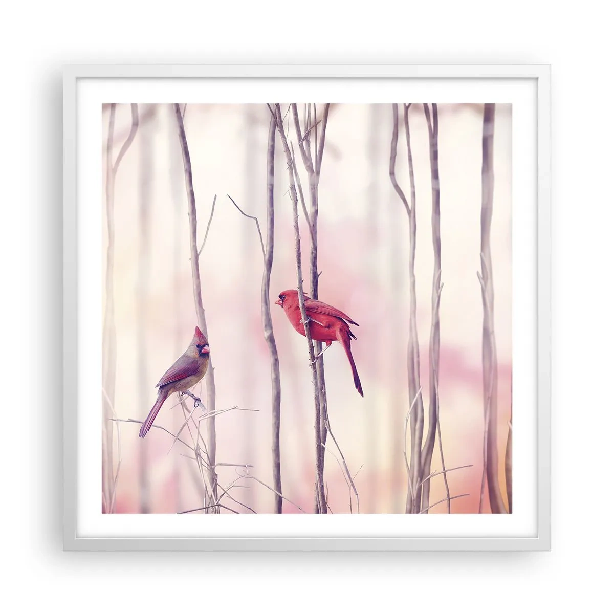 Poszter fekete keretben - Rózsaszín erdő története - 60x60 cm