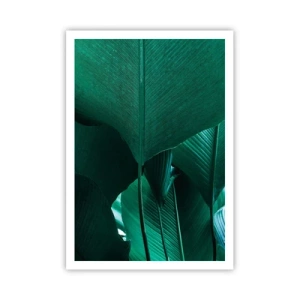Poszter - A fény felé nézve - 70x100 cm