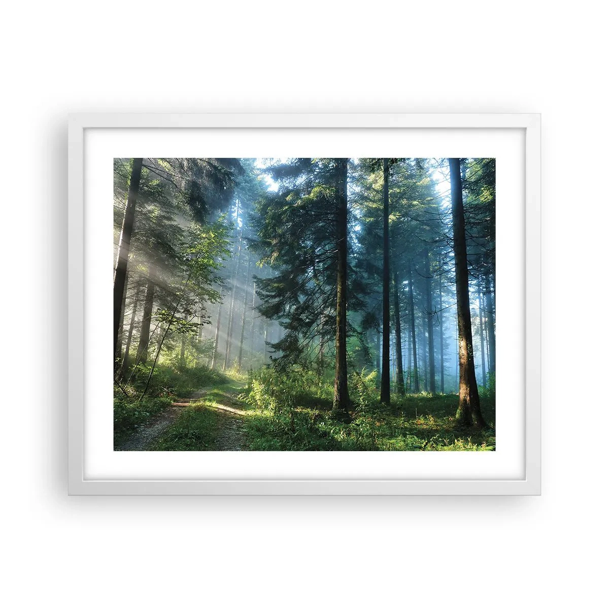 Poszter fekete keretben - Sugárzó reggel - 50x40 cm