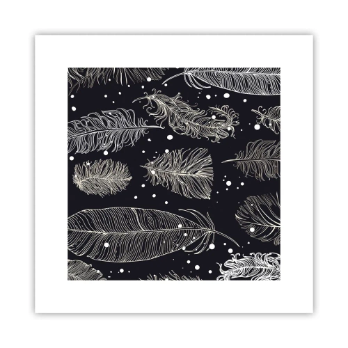 Poszter - Tollas csipke - 30x30 cm