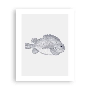 Poszter - A természettudós albumába - 40x50 cm