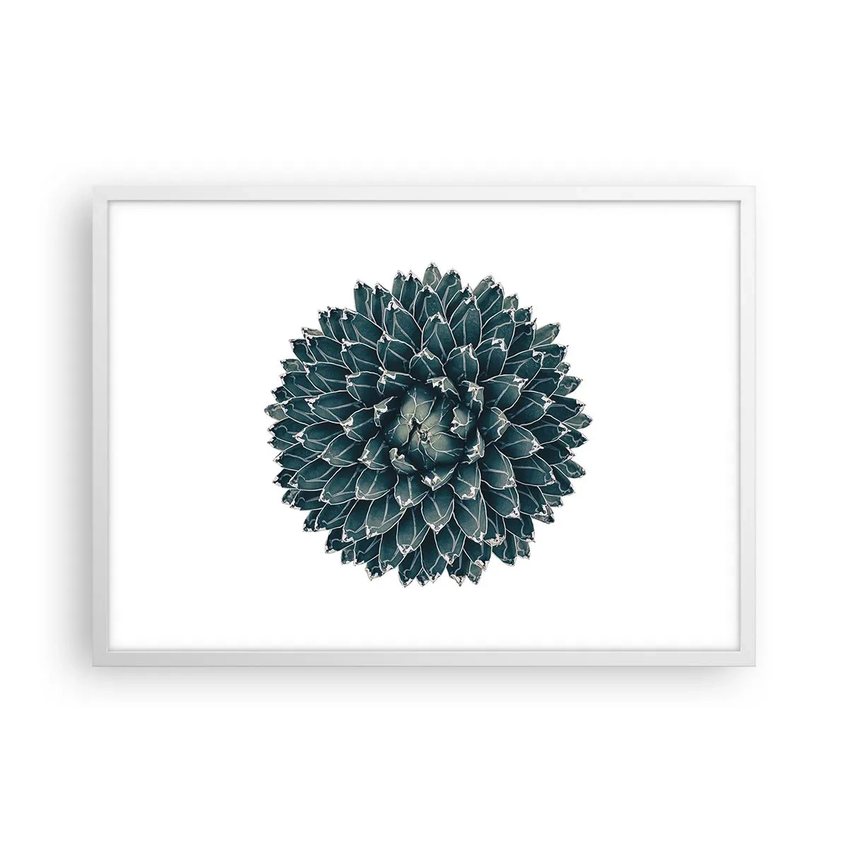 Poszter fekete keretben - A sivatag csillaga - 70x50 cm