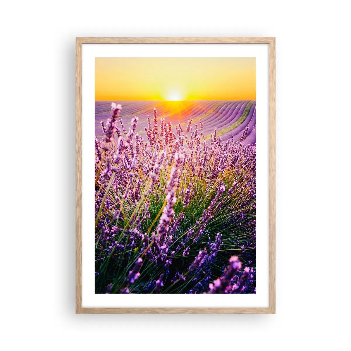 Poszter világos tölgy keretben - Illatos szálak - 50x70 cm