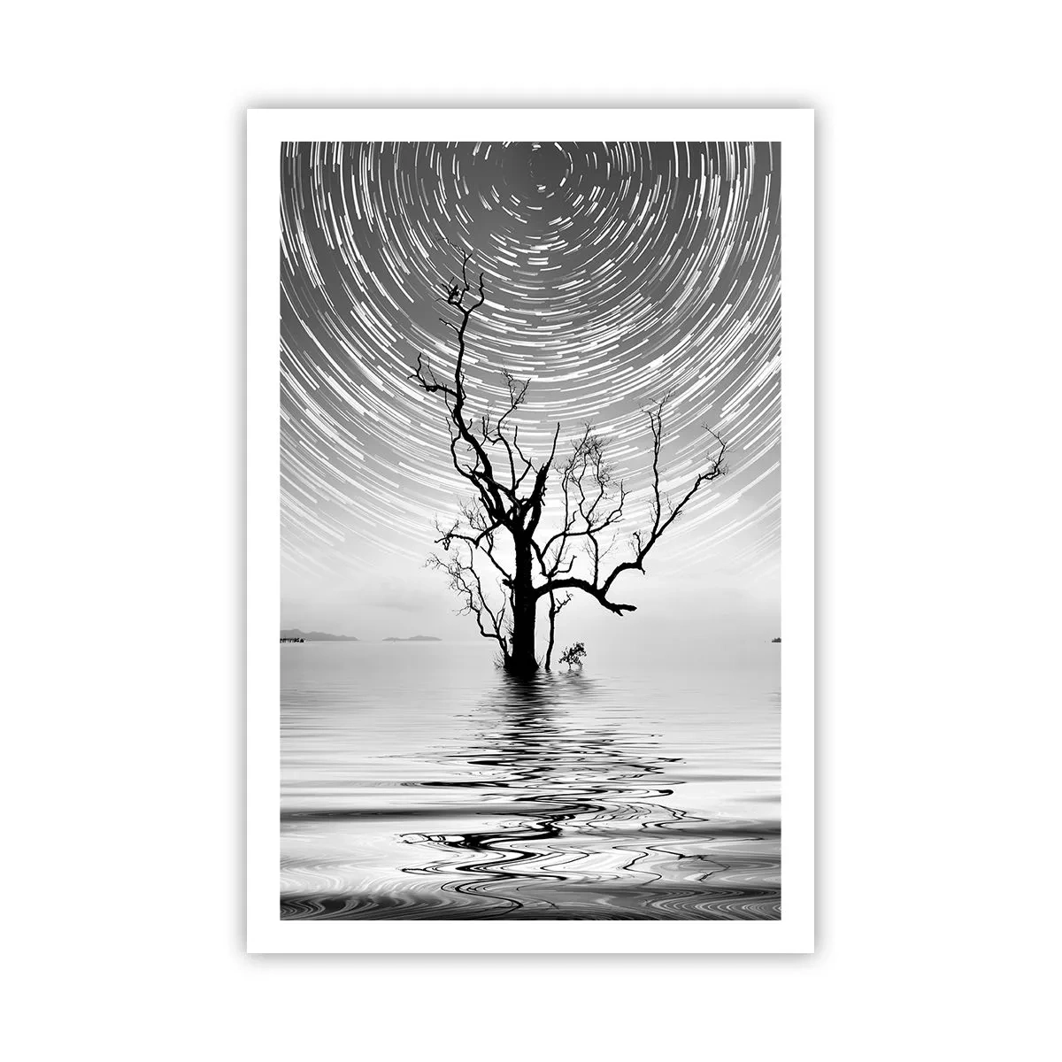 Poszter - A természet szimfóniája - 61x91 cm